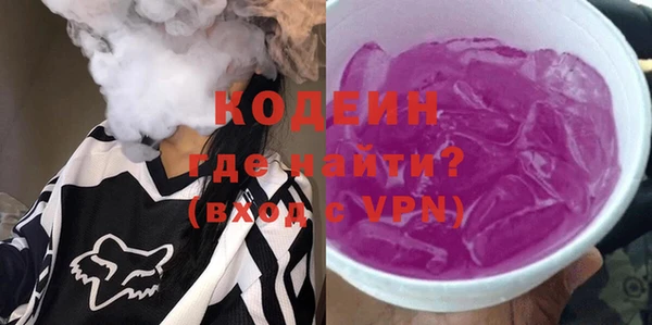 индика Новодвинск