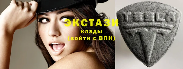 индика Новодвинск