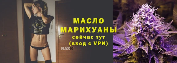 индика Новодвинск