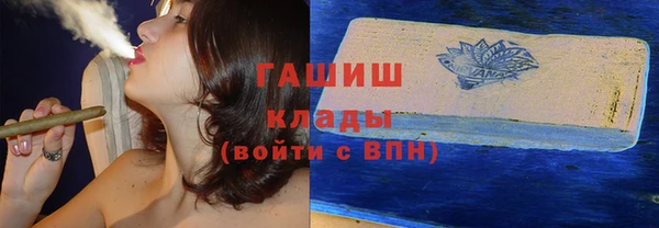 индика Новодвинск