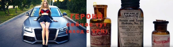 индика Новодвинск