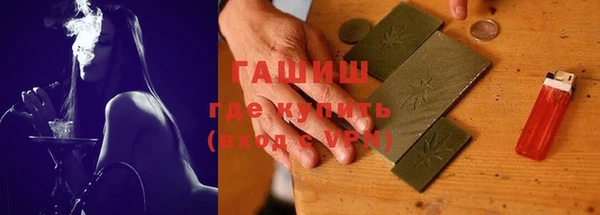 индика Новодвинск