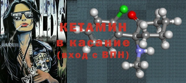 индика Новодвинск