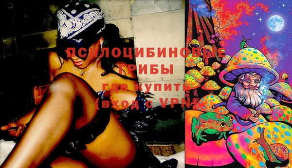 винт Нягань