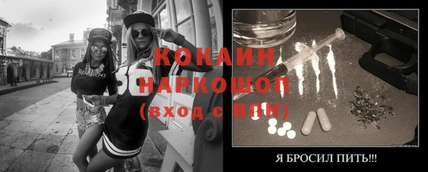 индика Новодвинск