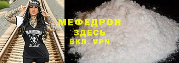индика Новодвинск