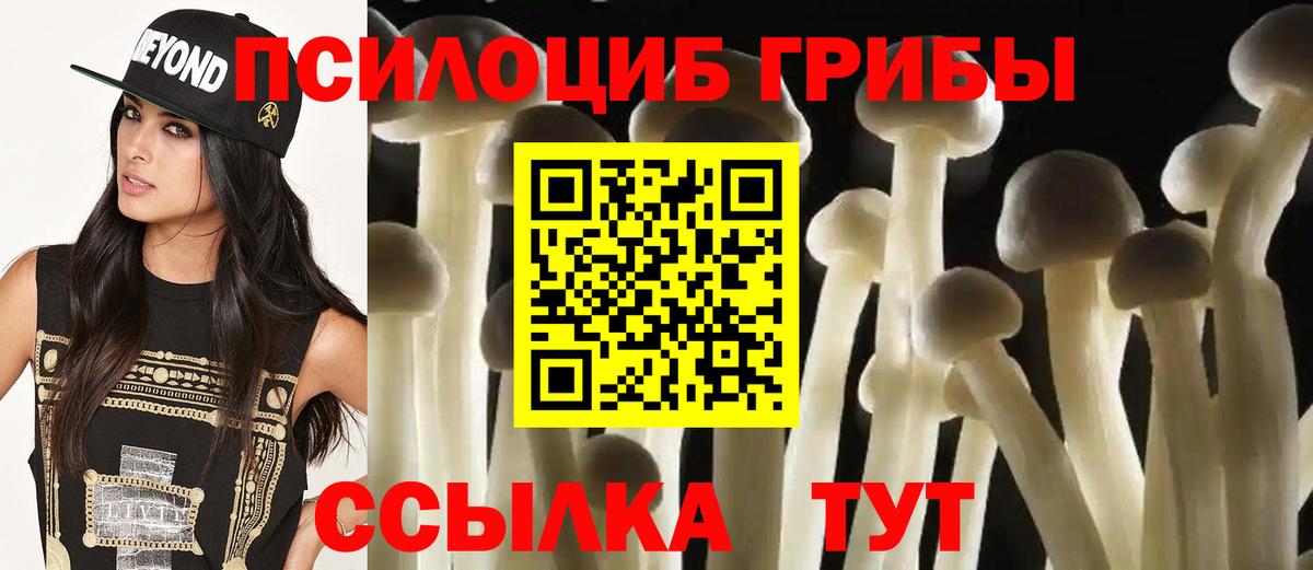 Псилоцибиновые грибы MAGIC MUSHROOMS Батайск