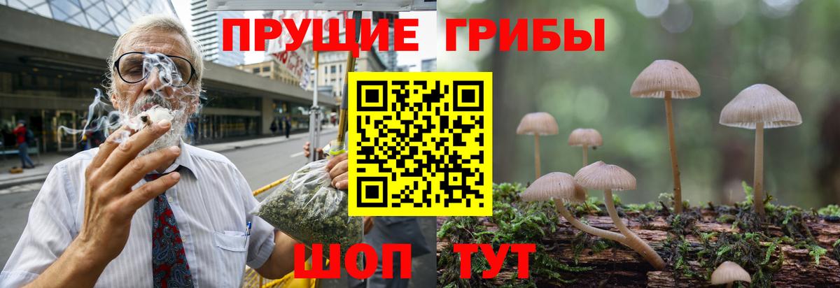 Батайск  Галлюциногенные грибы MAGIC MUSHROOMS  Вход с VPN  Галлюциногенные грибы ЛСД 